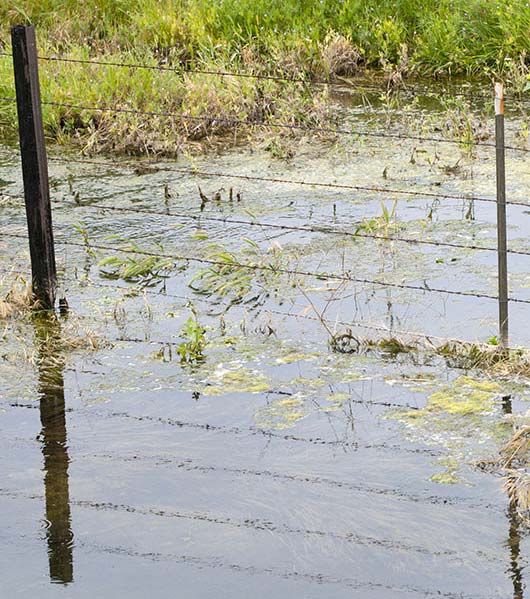 Flooded field