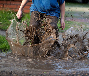 Flooded yard